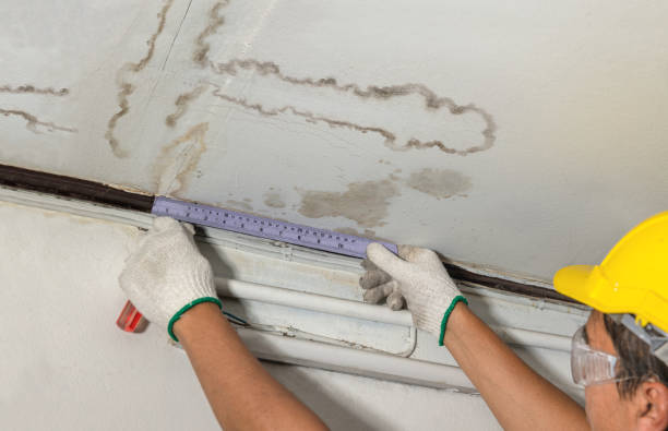 Reliable Structural Drying contractor in Haywood, VA by Water Damage Irwin